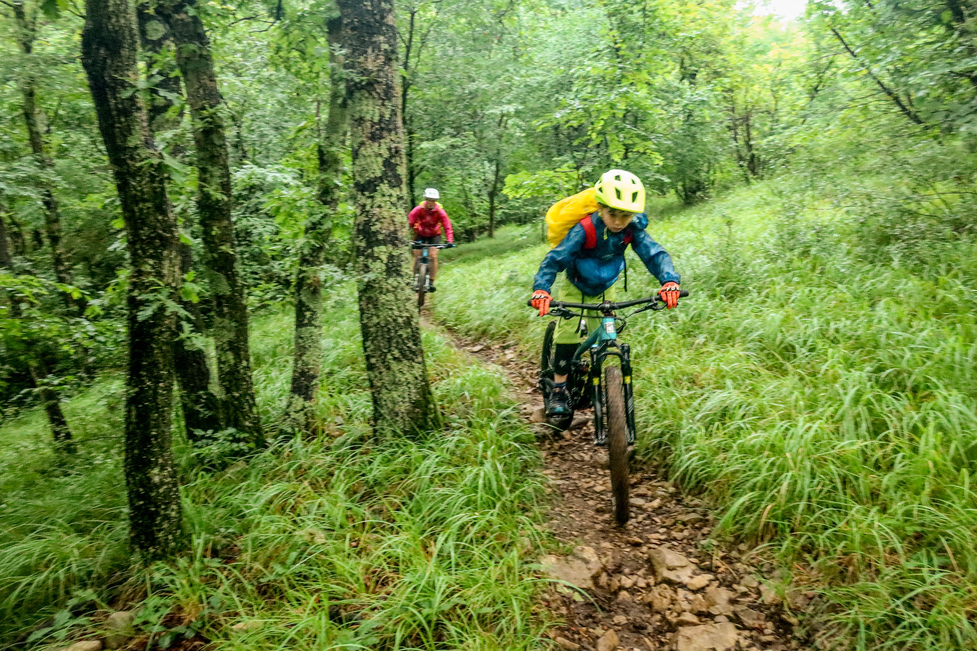 Trans Slovenia MTB - Forest trails trough stages of Trans Slovenia