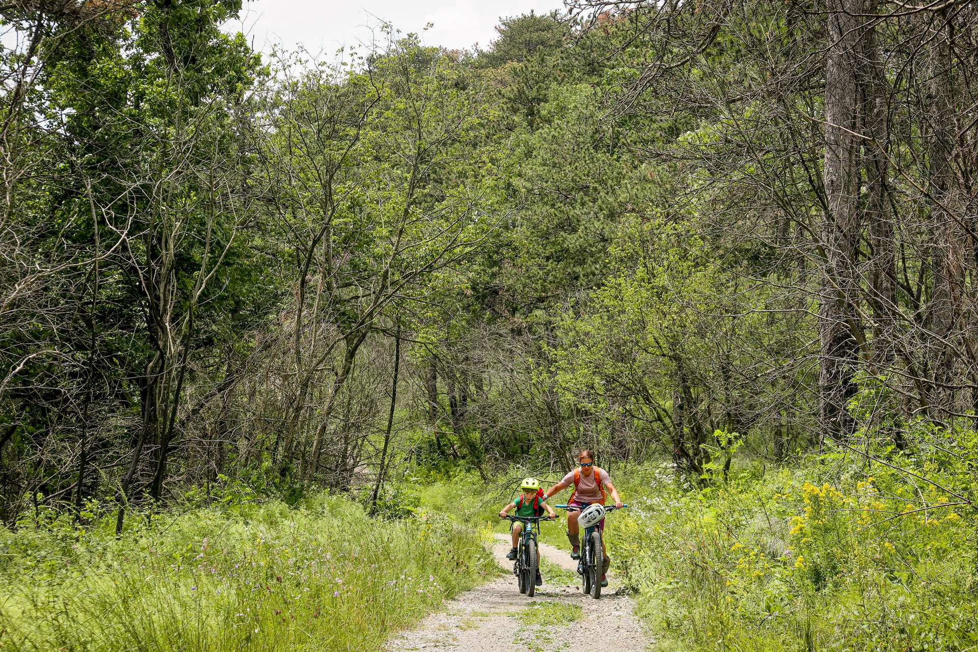 Trans Slovenia MTB - Diverse trails and roads in Trans Slovenia trail