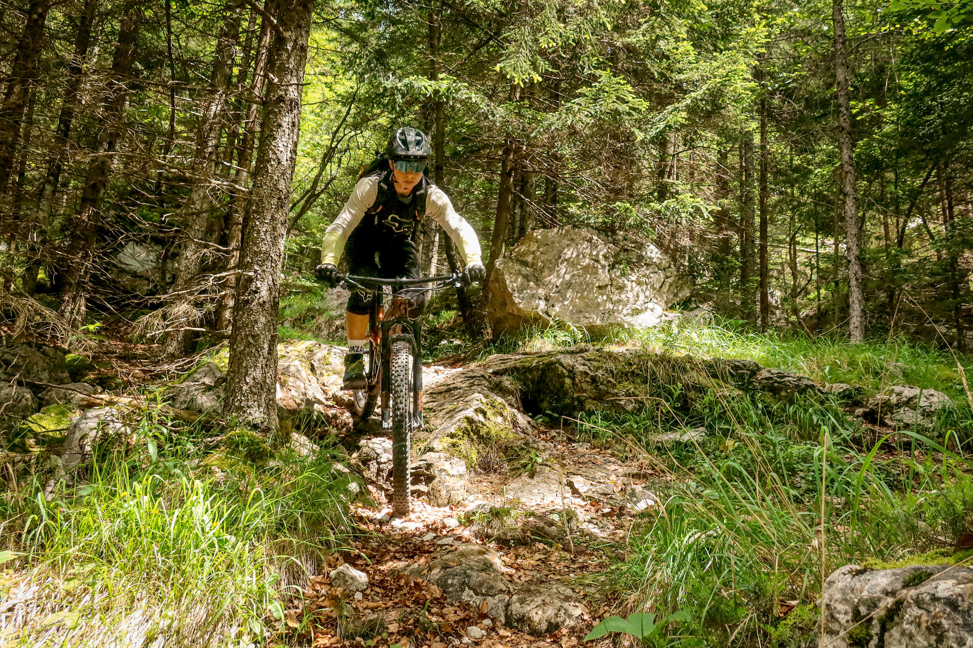 Trans Slovenia MTB - Forest paths and trails for mountain bike